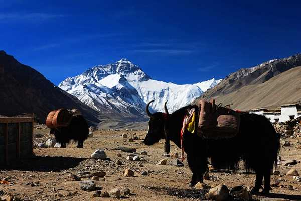Tibet Mt.Everest Trekking Expedition , Lhasa Tibet